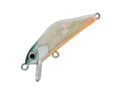 HARDSTREAMS T-Gravits Abalone - IVYLINE