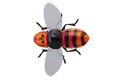 BUGDOG - JACKALL