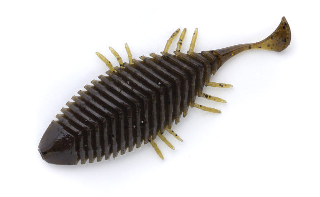 FlatHead Goby - IMAKATSU