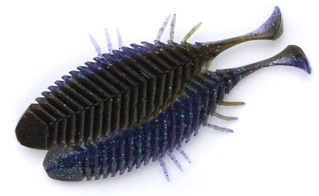 FlatHead Goby - IMAKATSU