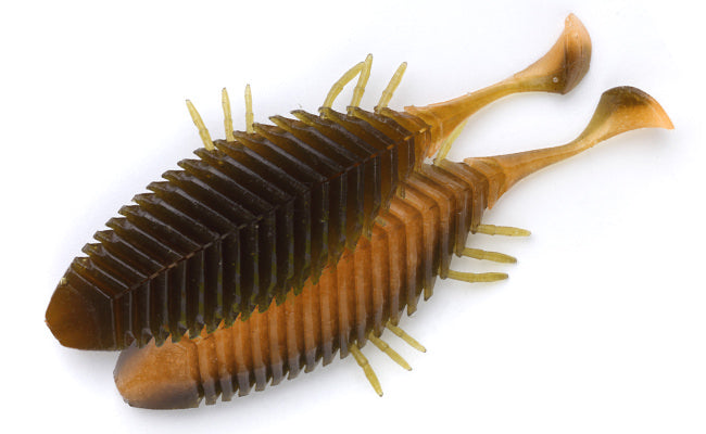 FlatHead Goby - IMAKATSU