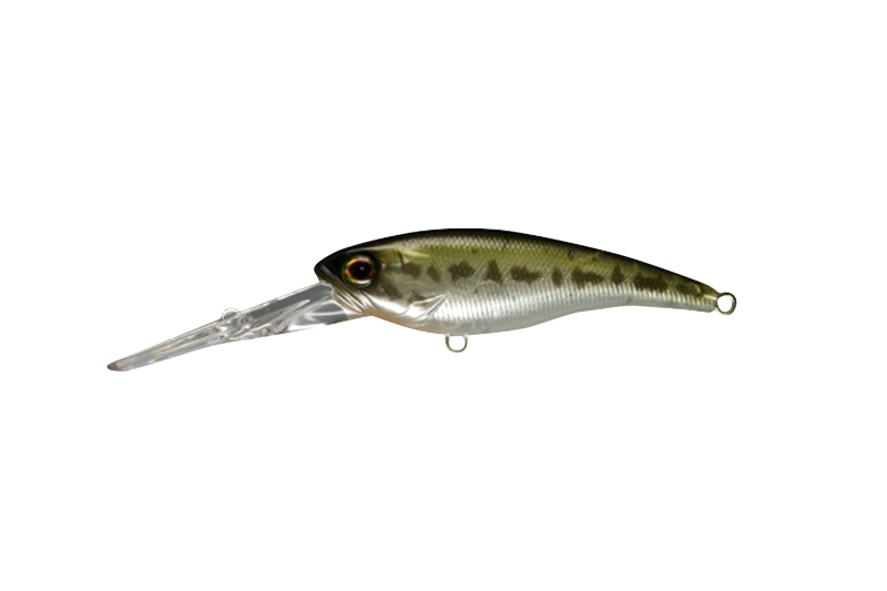 SOUL SHAD 58 - JACKALL