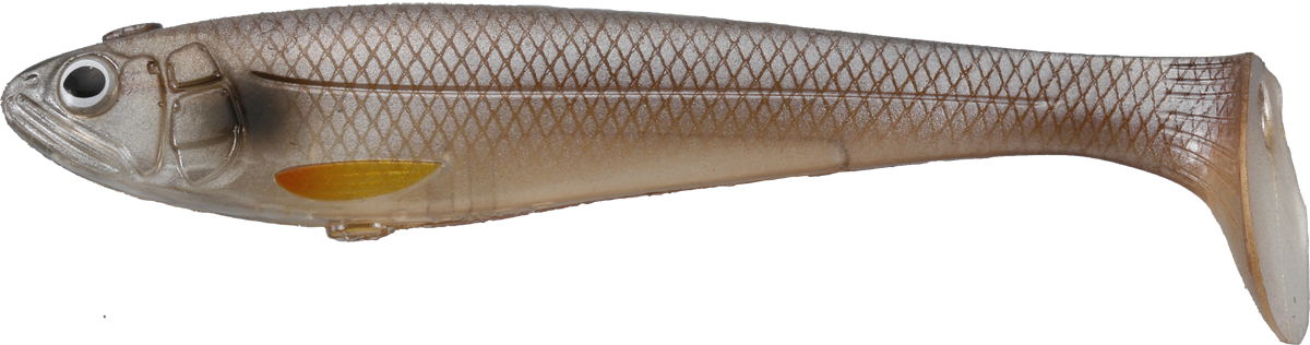 Bacurato Swimmer - IMAKATSU