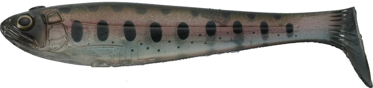 Bacurato Swimmer - IMAKATSU