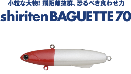 shiriten BAGUETTE 70 - MADNESS JAPAN
