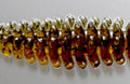 bibibi bug 2.6mm - ISSEI