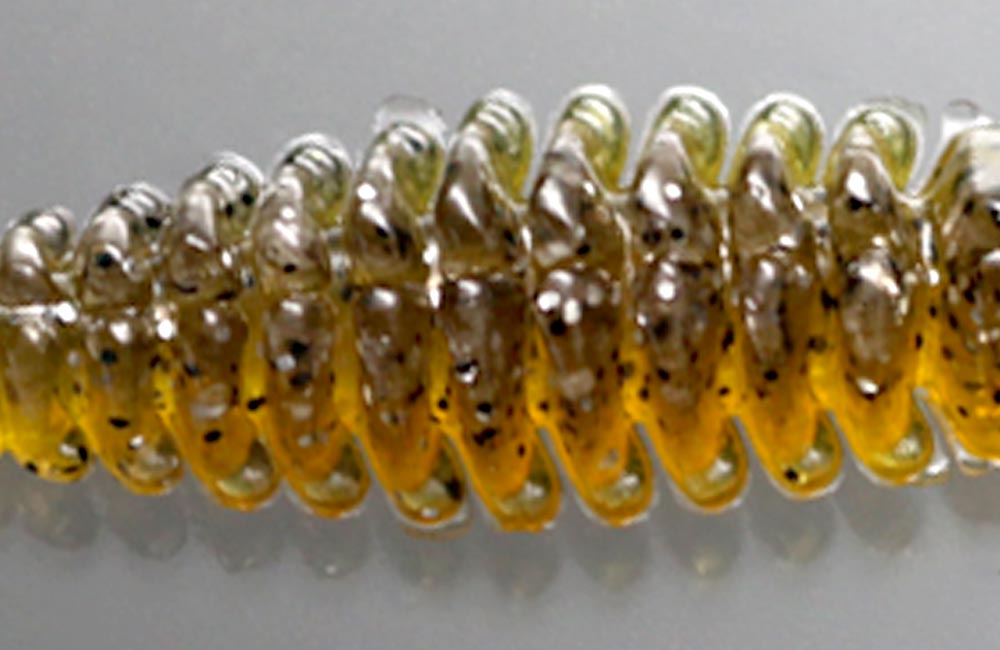 bibibi bug 2.6mm - ISSEI
