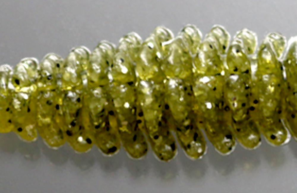bibibi bug 3.2mm - ISSEI