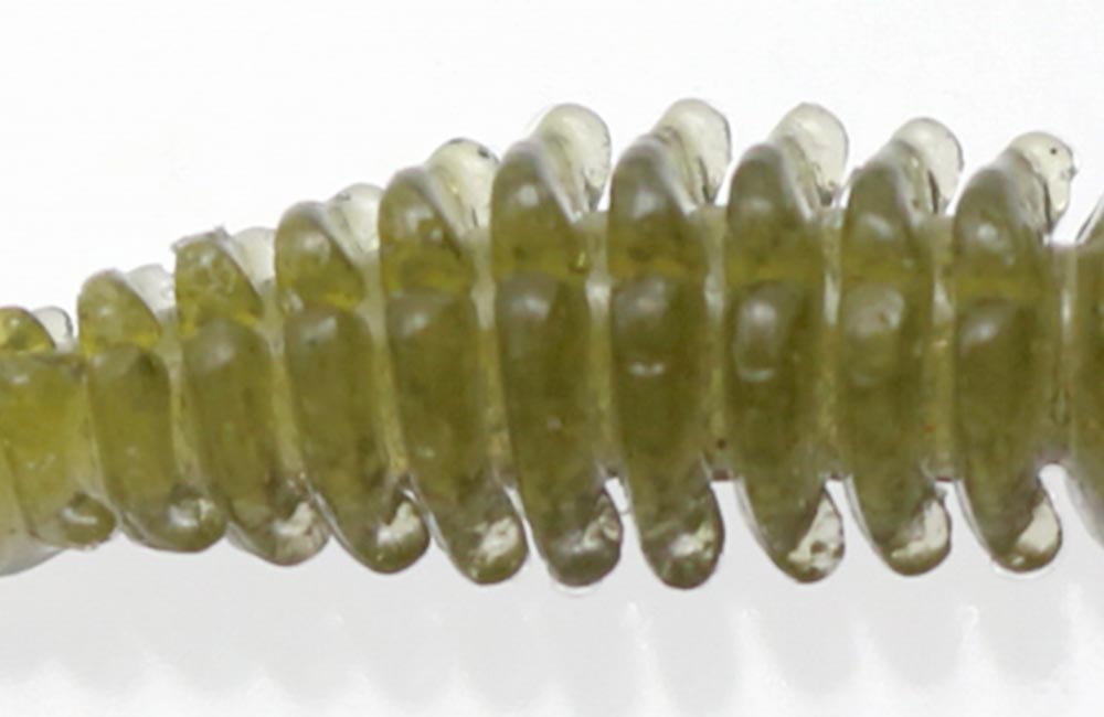 bibibi bug 2.6mm - ISSEI
