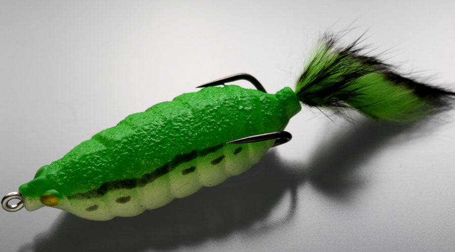 Bug Frog - ISSEI