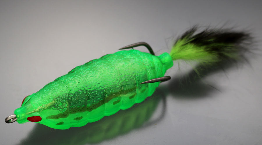 Bug Frog - ISSEI