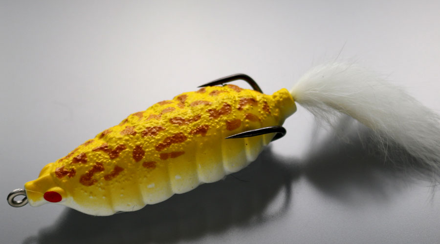 Bug Frog - ISSEI