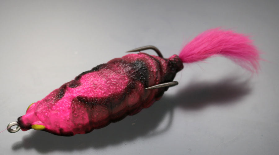 Bug Frog - ISSEI