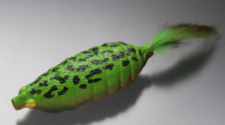 Bug Frog - ISSEI