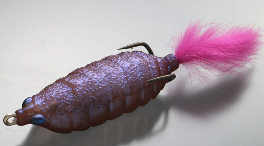Bug Frog - ISSEI