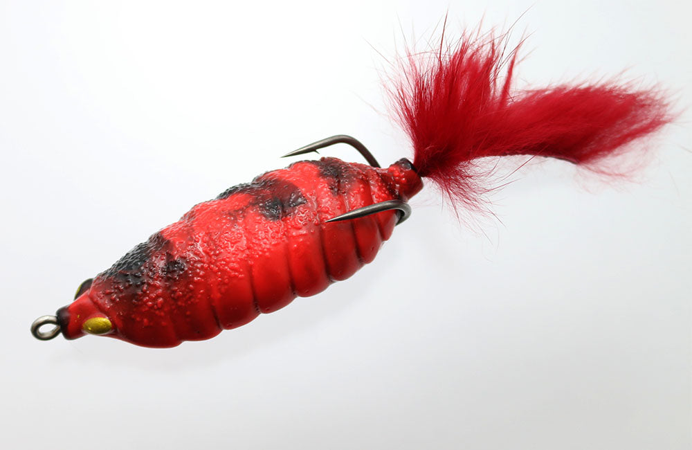 Bug Frog - ISSEI
