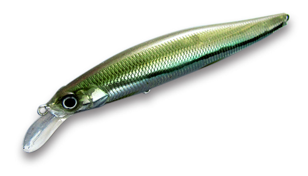 G.C. Minnow 89 SR-SP - ISSEI