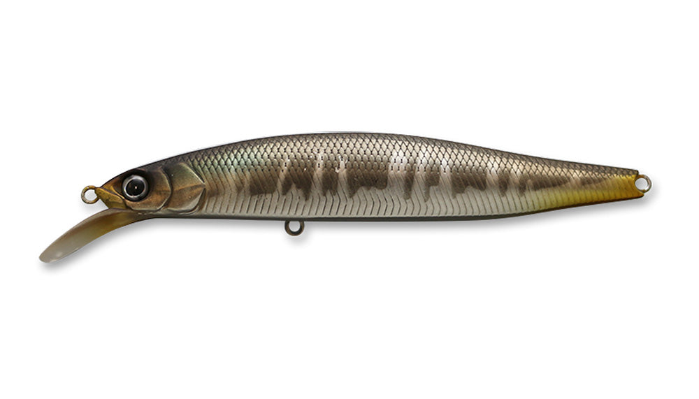 G.C. Minnow 89 SR-SP - ISSEI