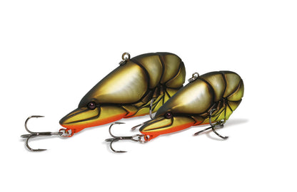 G.C. Zari Vib Jr.57 - ISSEI