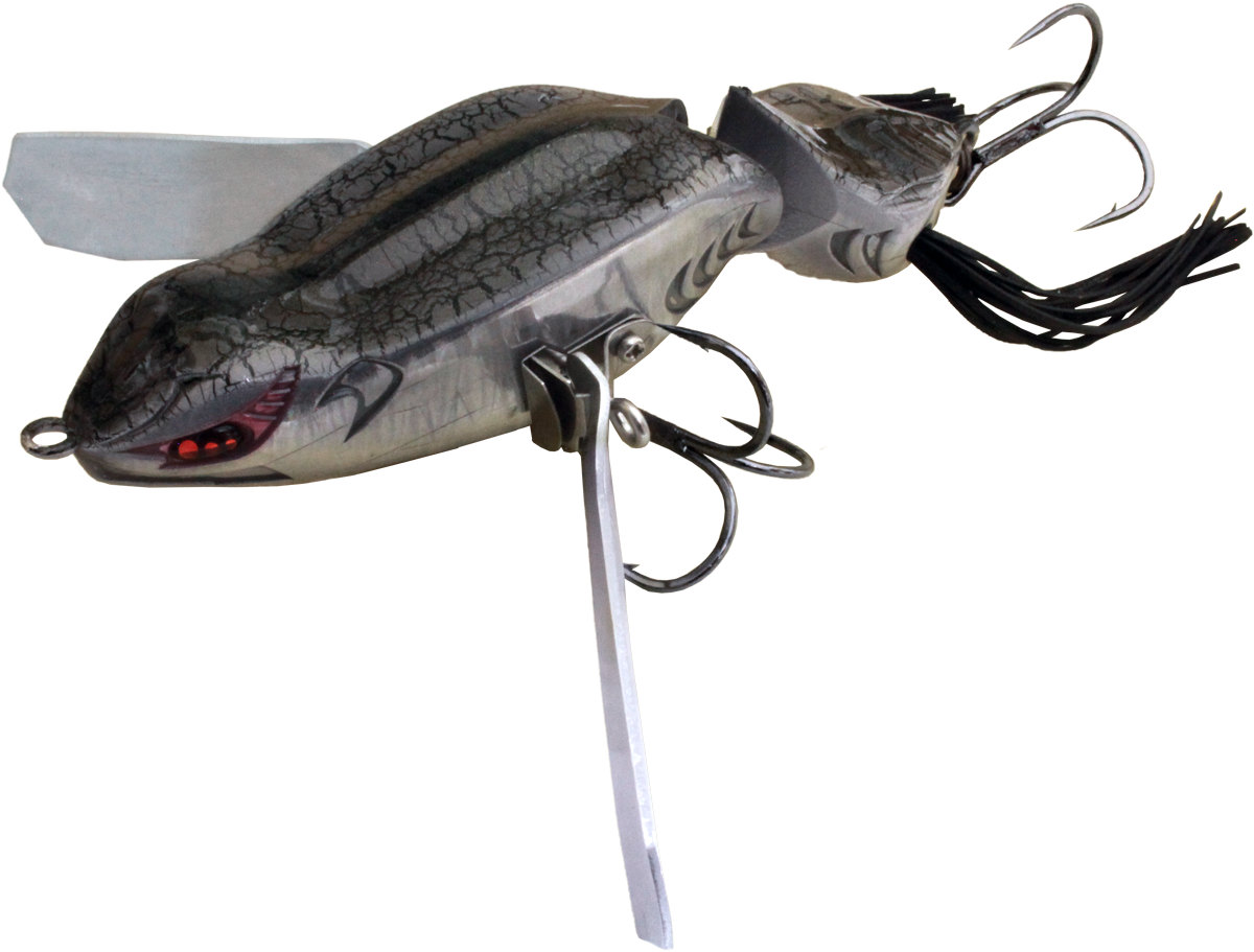 Berlinetta Crawler 2 - IMAKATSU