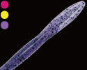 Betty 5.9inch - GAN CRAFT