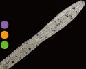 Betty 5.9inch - GAN CRAFT