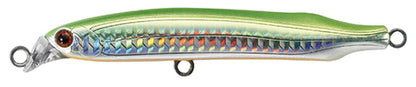CONTACT BEZEL - TACKLE HOUSE