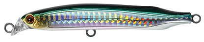 CONTACT BEZEL - TACKLE HOUSE