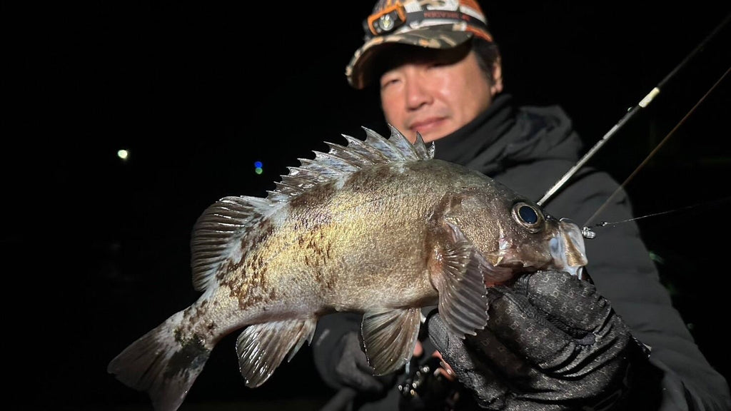 Glamour Rock Fish TR - BREADEN