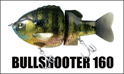 BULLSHOOTER160 - deps