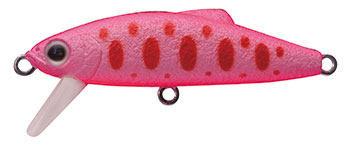 Buffet Doras - TACKLE HOUSE