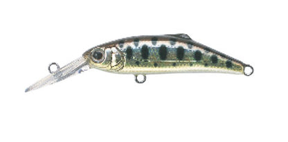 Buffet Floating - TACKLE HOUSE