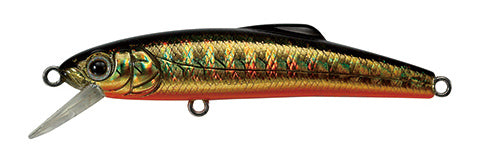 Buffet 43 - TACKLE HOUSE