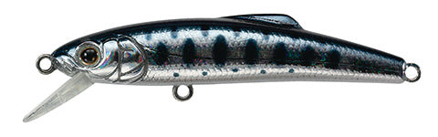 Buffet 65 - TACKLE HOUSE