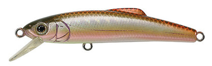 Buffet 43 - TACKLE HOUSE