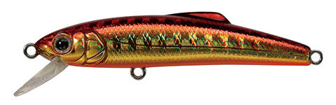 Buffet 43 - TACKLE HOUSE