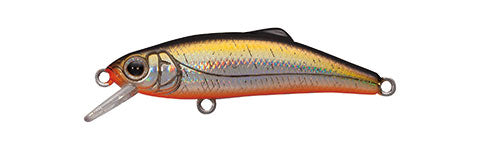 Buffet 43 - TACKLE HOUSE