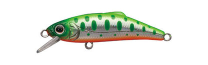 Buffet 43 - TACKLE HOUSE