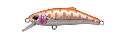 Buffet 55 - TACKLE HOUSE