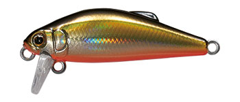 Buffet 38 - TACKLE HOUSE