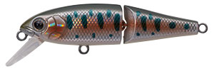 Buffet Jointed - TACKLE HOUSE