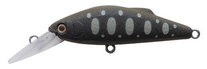 Buffet Lilly - TACKLE HOUSE