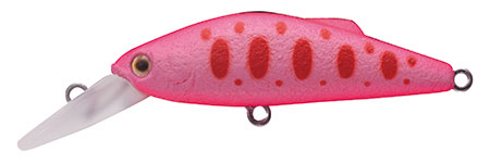 Buffet Lilly - TACKLE HOUSE