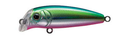 Buffet Lipless Minnow - TACKLE HOUSE