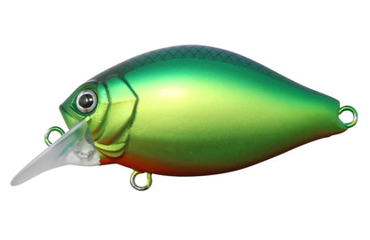 G.C. Shallow Crank 40SR - ISSEI