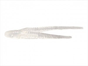 Chimerabait 2.0inch - 34 (Thirty Four)