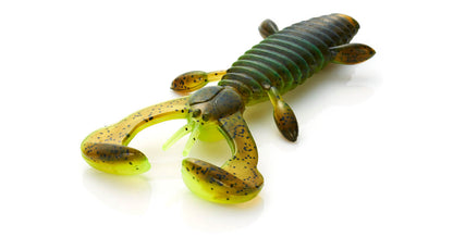 Chinukoro Hog - Jackson