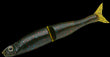 SHAPE-S 4.0 - GAN CRAFT