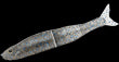 SHAPE-S - GAN CRAFT