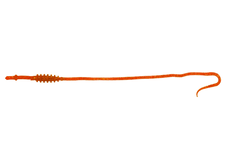 BINBIN WORM NECKTIE CURL FINESSE - JACKALL